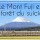 Le Mont Fuji et la forêt du suicide